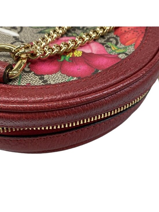 Gucci Backpack Ophidia GG Mini Tian Beige Red Multi Chain main image 9